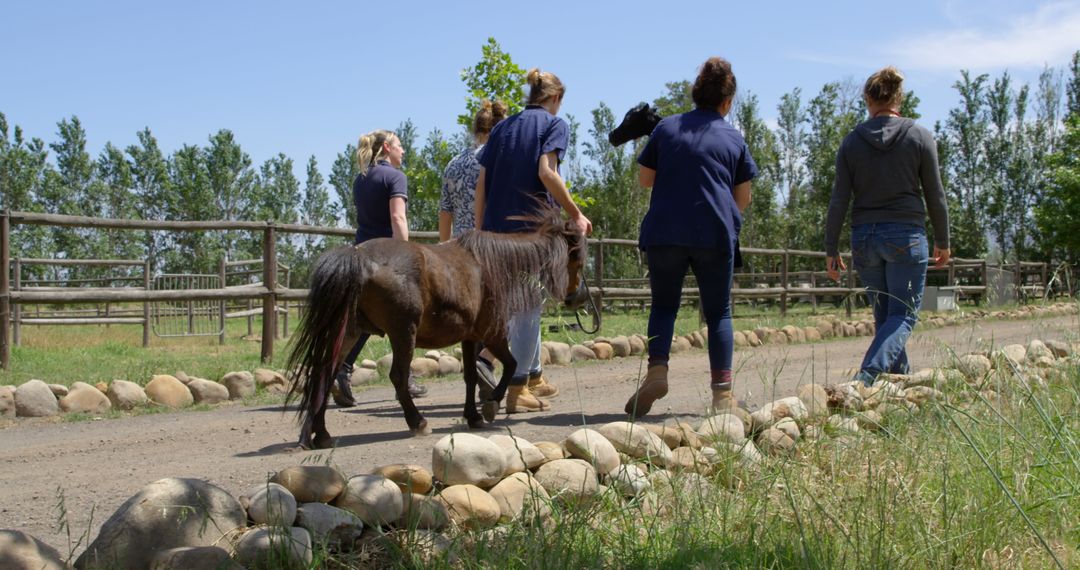 Veterinary Team Walking with Horses by Farm