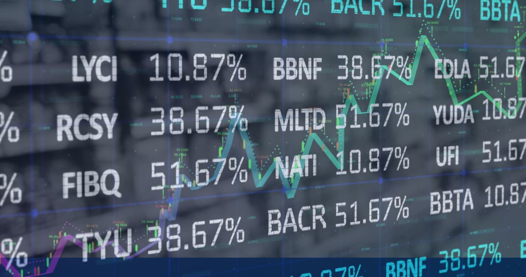 Digital Financial Data Interface Display