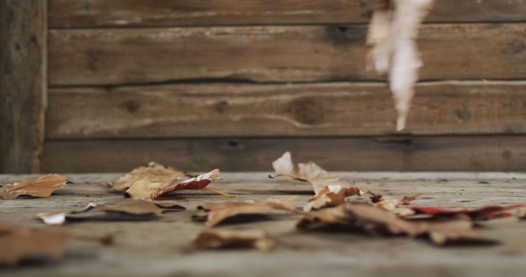 Fallen Autumn Leaves on Wooden Table With Background - Free Images, Stock Photos and Pictures on Pikwizard.com