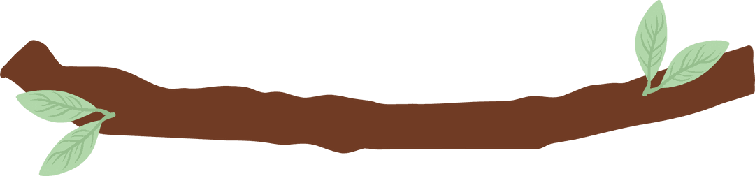 Stylized Branch with Leaves on Transparent Background