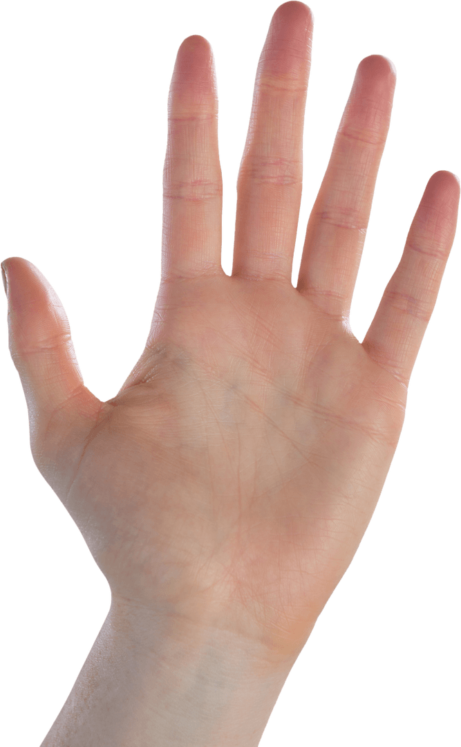 Close-Up of Open Hand Waving on Transparent Background