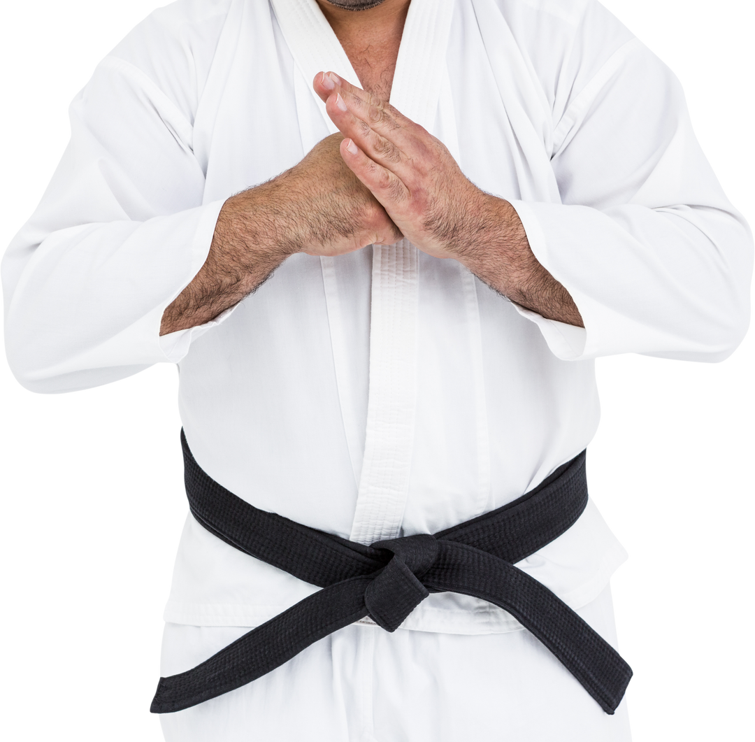 Martial Arts Fighter in White Gi with Black Belt Performing Hand Salute - Download Free Stock Images Pikwizard.com