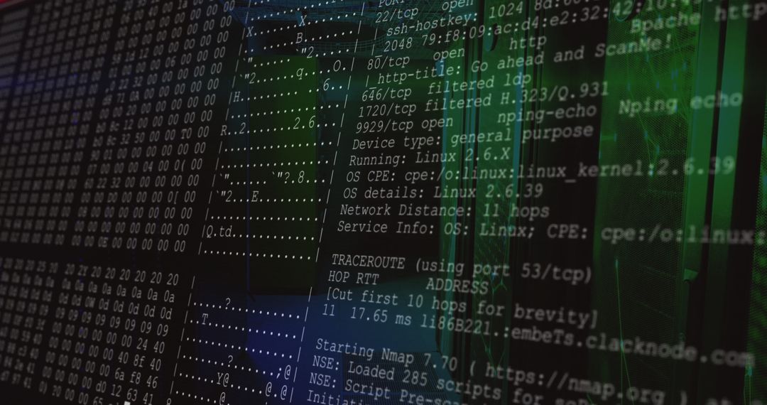 Cybersecurity Display with Nmap Scan and Hex Dump on Screen