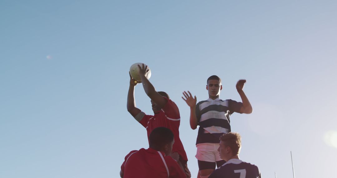 Rugby Players in Action During Lineout Under Clear Blue Sky - Free Images, Stock Photos and Pictures on Pikwizard.com