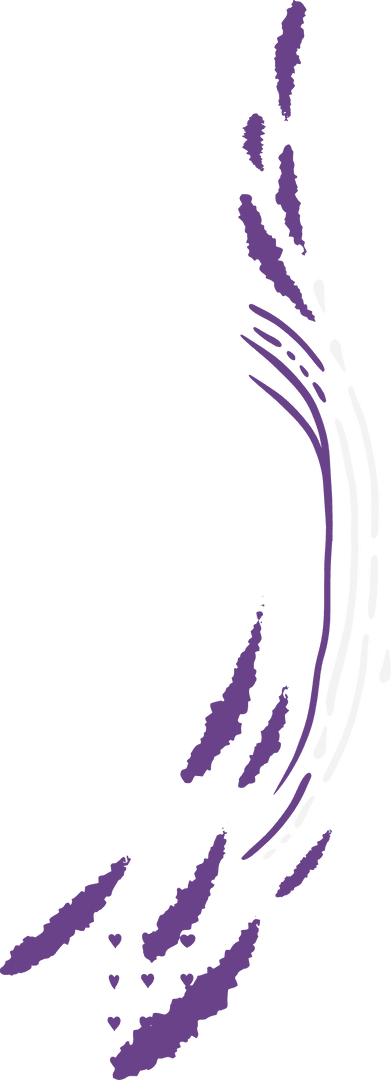 Flowing Abstract Purple White Swoosh Transparent Design