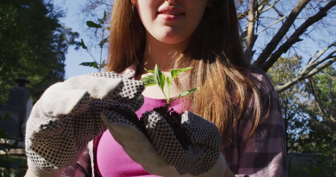 Young Woman Planting Seedling in Garden - Free Images, Stock Photos and Pictures on Pikwizard.com