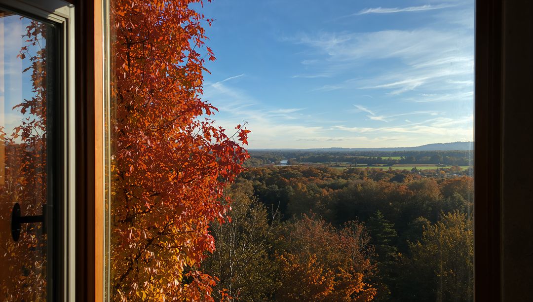 Autumn Window View Framing Red Ivy and Sunlit Countryside Across Forested Valley