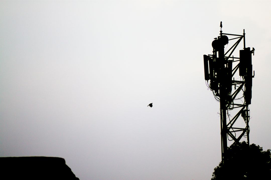 Bird Flying Near Communication Tower at Dusk - Free Images, Stock Photos and Pictures on Pikwizard.com