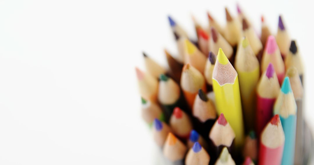 Close-up of colored pencils on white background - Free Images, Stock Photos and Pictures on Pikwizard.com