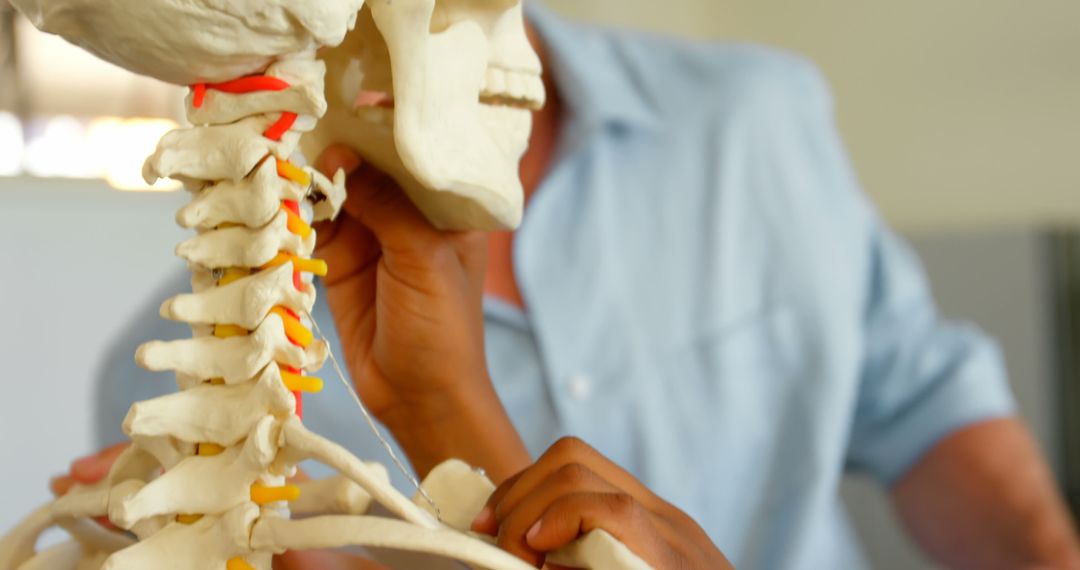 Teacher and Students Adjusting Classroom Skeleton Model