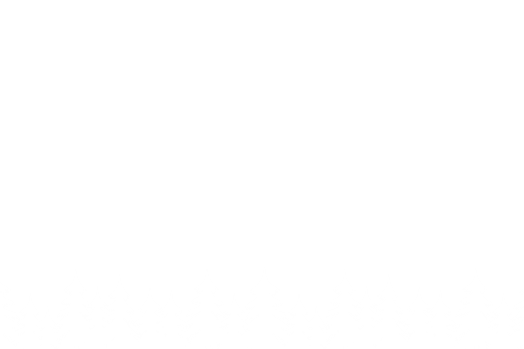 Christmas trees pattern isolated on a transparent background
