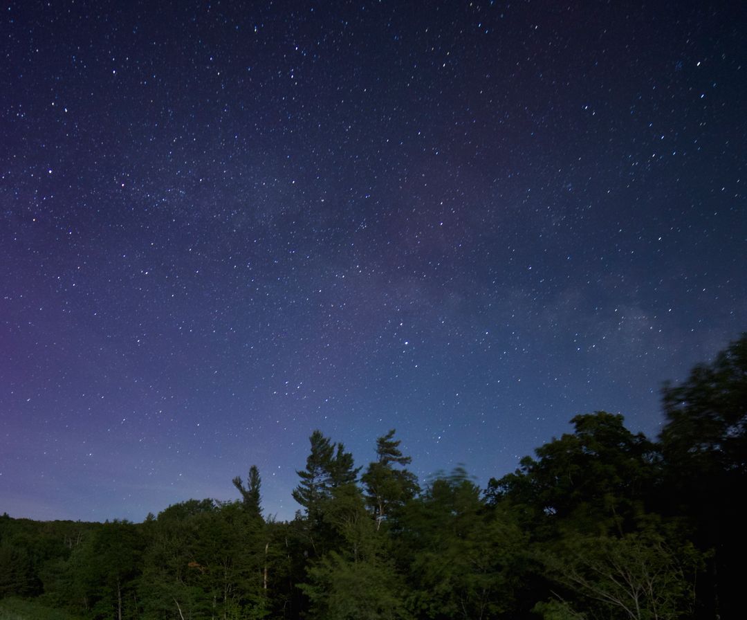 Stunning Night Sky Filled with Stars Above Forest Trees - Free Images, Stock Photos and Pictures on Pikwizard.com
