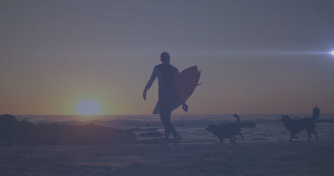 Surfer at Sunset with Surfboard and Dog