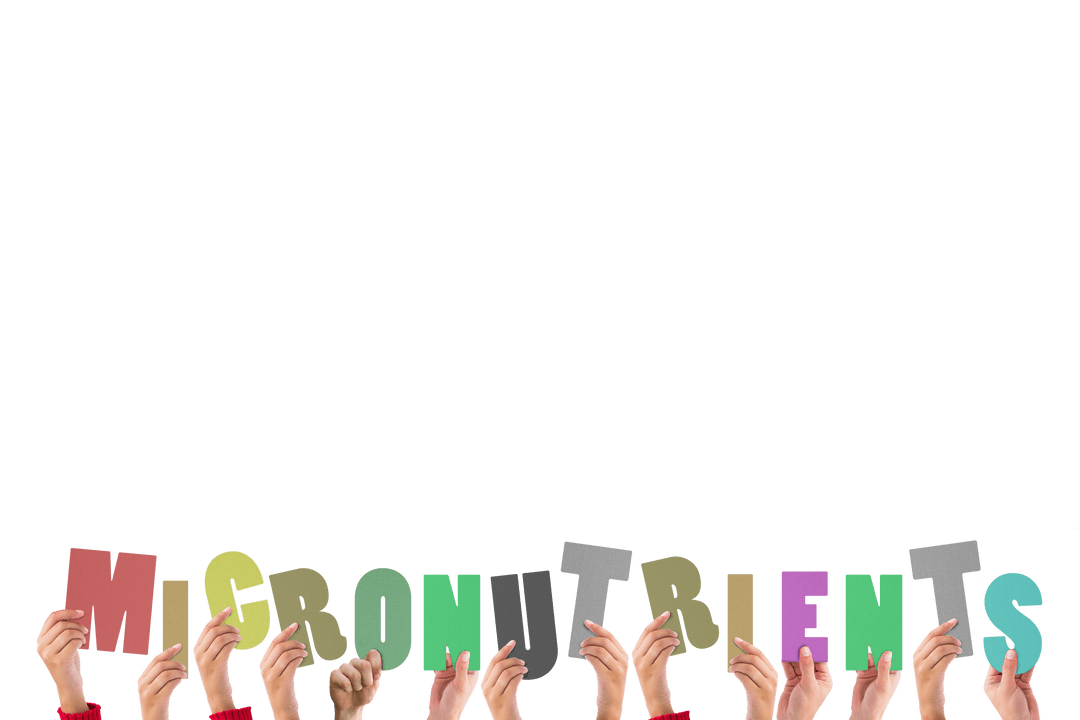 Hands Holding Micronutrients Text on Transparent Background
