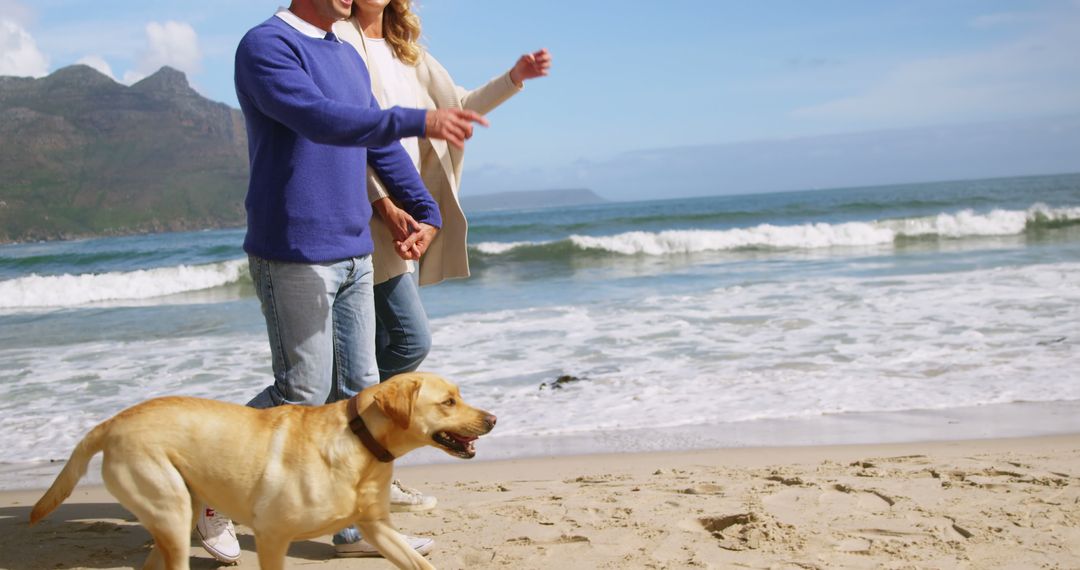 A couple and their dog find tranquility during a beach walk. - Free Images, Stock Photos and Pictures on Pikwizard.com
