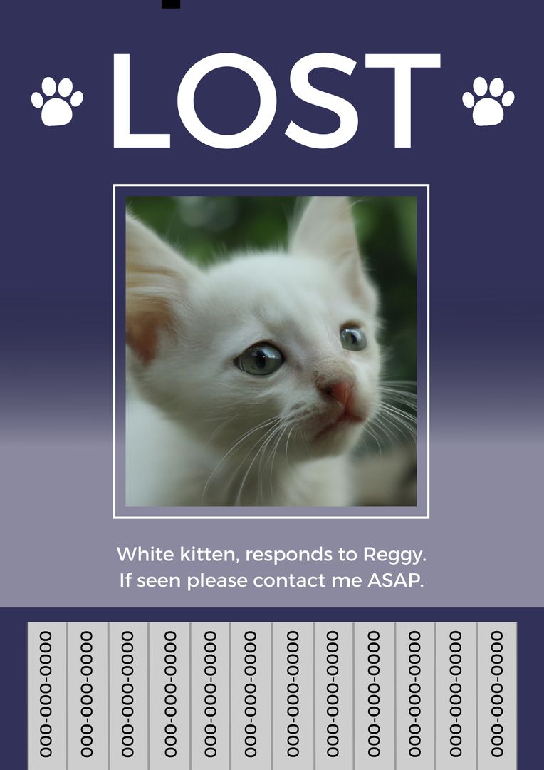 Lost Kitten Flyer with White Tabby Cat - Download Free Stock Templates Pikwizard.com