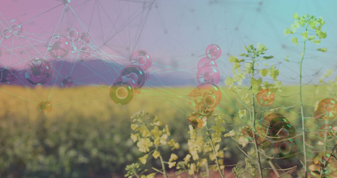 Digital Innovation Transforming Agriculture and Nature