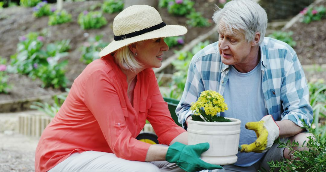 Senior Couple Gardening Together in Outdoor Garden - Free Images, Stock Photos and Pictures on Pikwizard.com