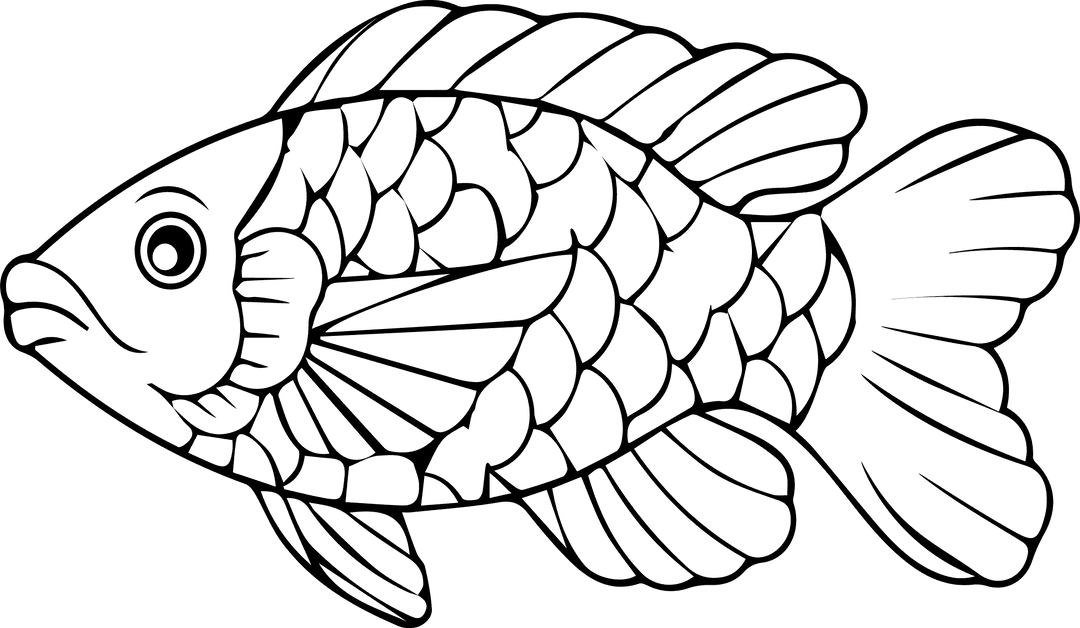 Stylized Line-Art Fish Illustration with Transparent Background