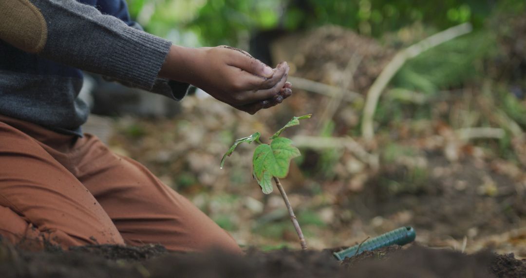 Child Planting and Watering in Garden