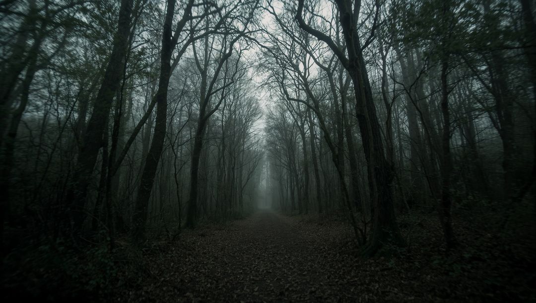 Mystical Fog Lingers Overleaf-Lined Forest Pathway