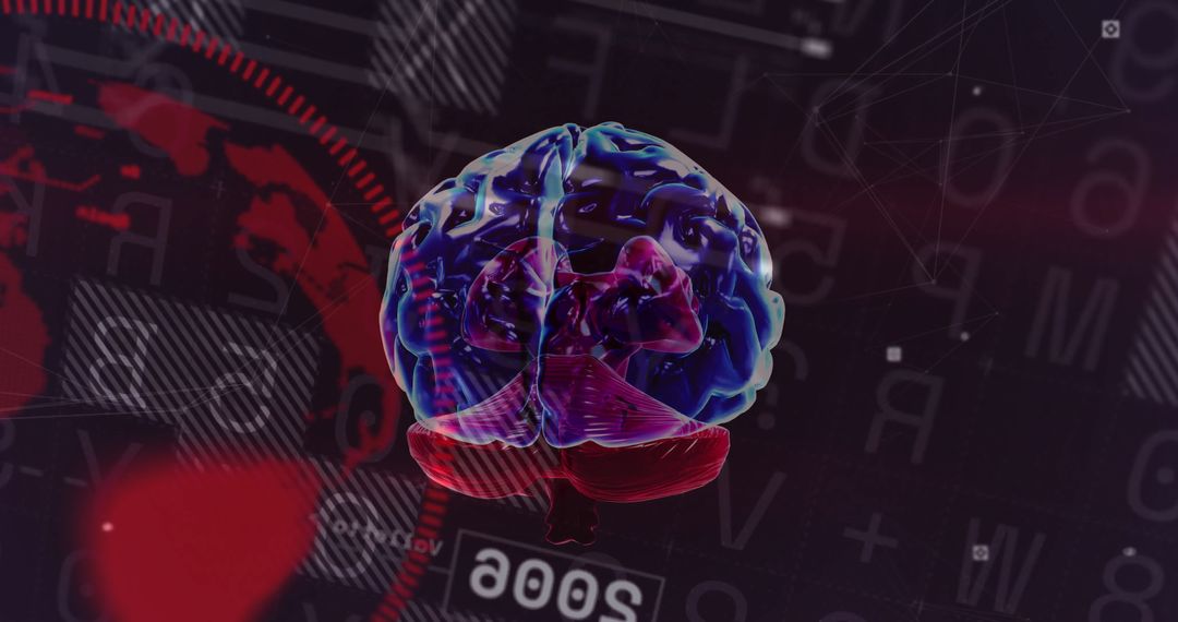 Rotating 3D Interactive Brain Model in Digital Network Interface