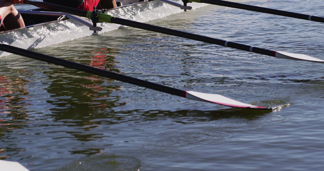 Team Rowing Together in Harmony on Calm River - Free Images, Stock Photos and Pictures on Pikwizard.com