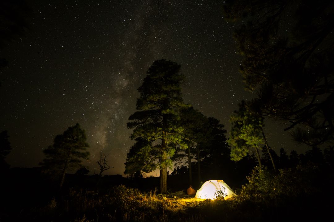 Starlit Campground in Pine Forest with Illuminated Tent