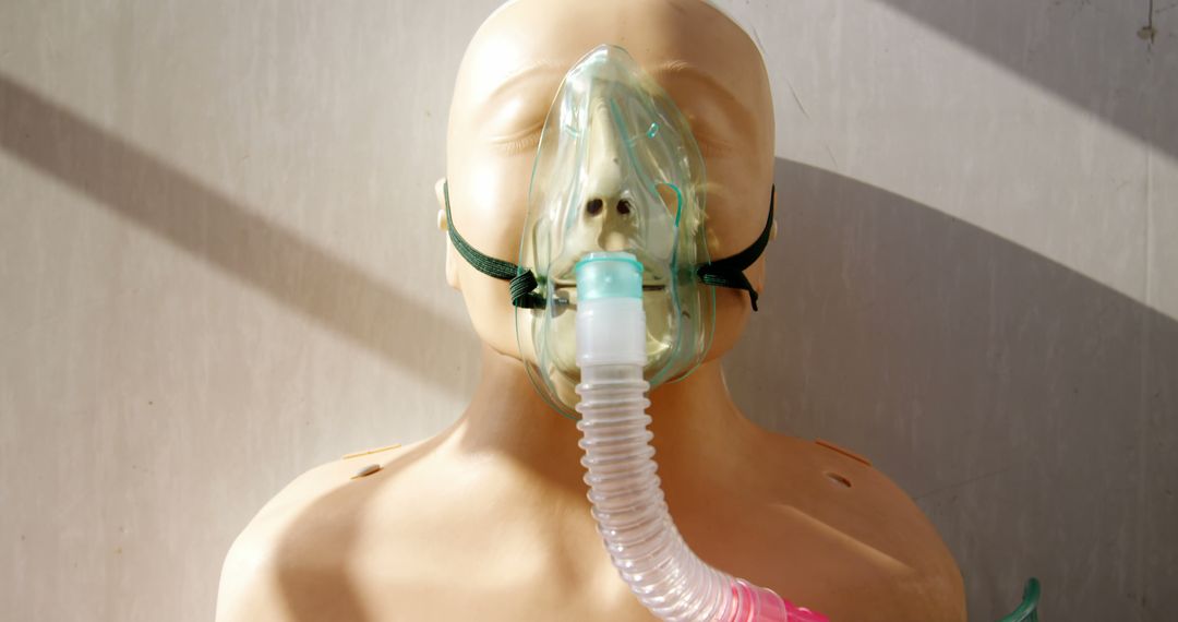 A medical training mannequin is fitted with an oxygen mask, with copy space - Free Images, Stock Photos and Pictures on Pikwizard.com