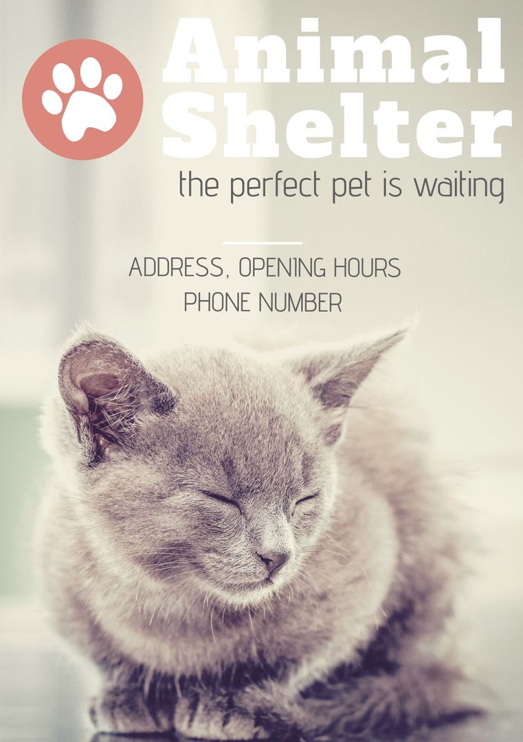 Serene Cat Promoting Animal Adoption Awareness