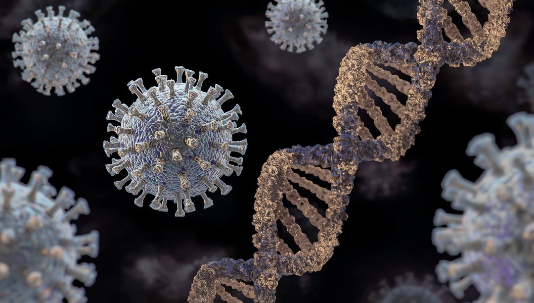 DNA Helix with Floating Virus Particles in Molecular Environment