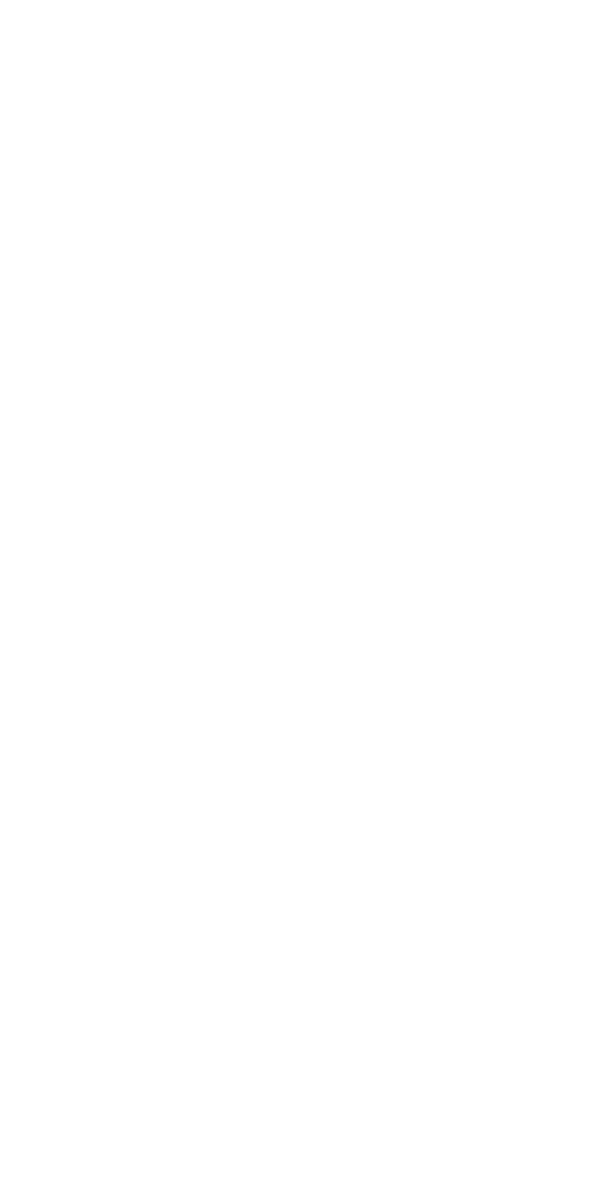 Cheering Woman Silhouette with Hands In Air On Transparent Background - Download Free Stock Images Pikwizard.com