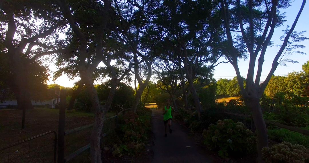 Man Jogging in Park at Sunrise Creating a Serene Start to the Day