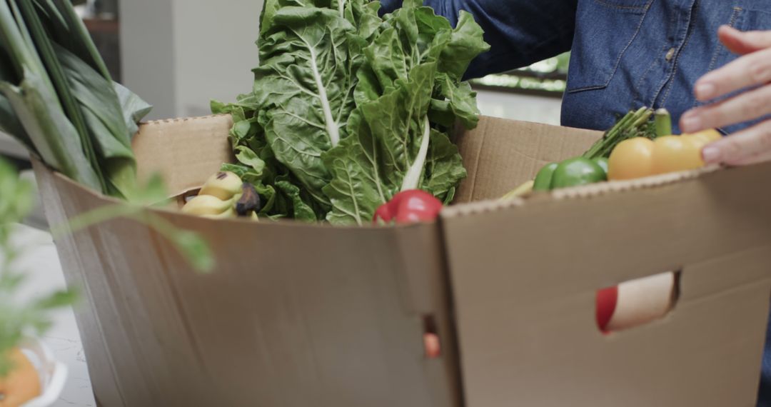 Person Unpacking Fresh Organic Vegetables from Cardboard Box - Free Images, Stock Photos and Pictures on Pikwizard.com