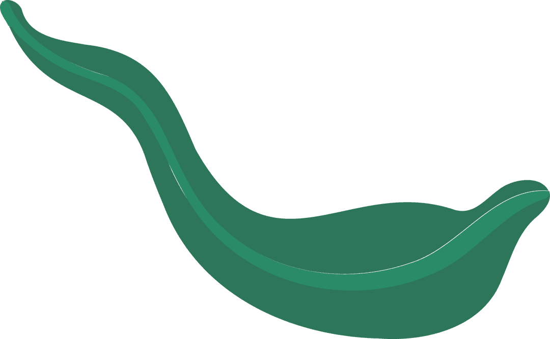 Abstract Green Leaf-Wave on Transparent Background Fluid Modern Design