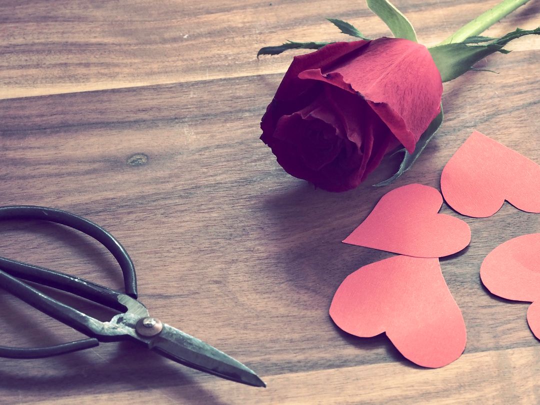 Red Rose with Paper Hearts and Scissors on Wooden Surface