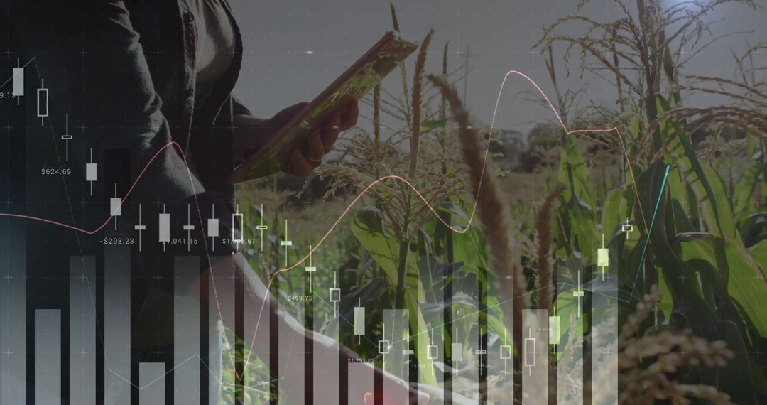 Agritech Professional Examining Crops with Digital Data Overlay