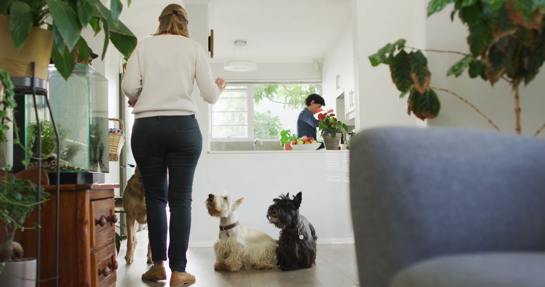 Couple at Home with Three Dogs in Modern Clean Living Room - Free Images, Stock Photos and Pictures on Pikwizard.com