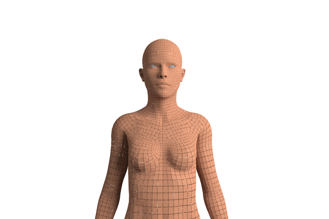 Transparent Polygonal Digital Human Model on White Background - Download Free Stock Images Pikwizard.com