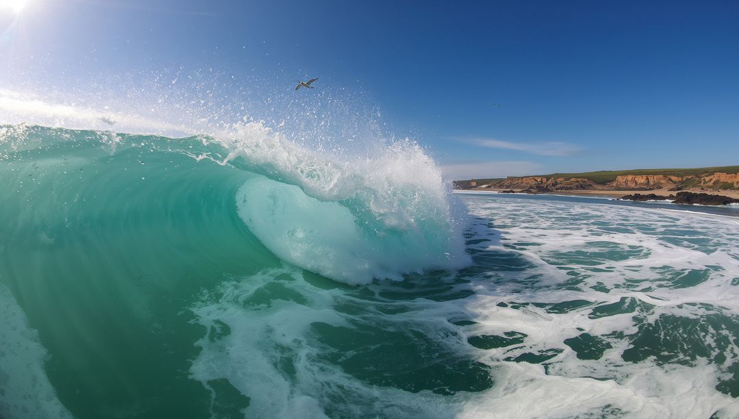Dynamic Ocean Wave and Bird under Bright Sunlit Sky
