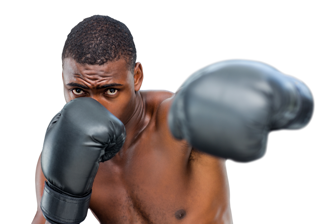 Focused African American Boxer Punching with Black Boxing Gloves Transparent - Download Free Stock Images Pikwizard.com