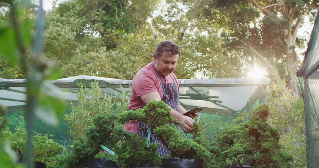 Gardener Checking Trees at Outdoor Nursery