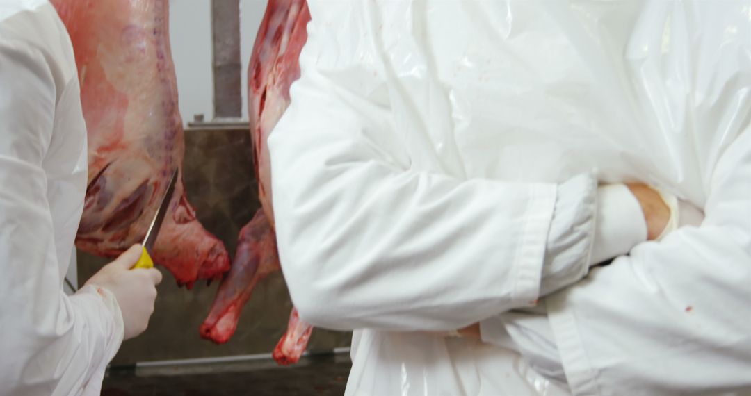 Butchers Preparing Fresh Meat in Stainless Steel Area - Free Images, Stock Photos and Pictures on Pikwizard.com