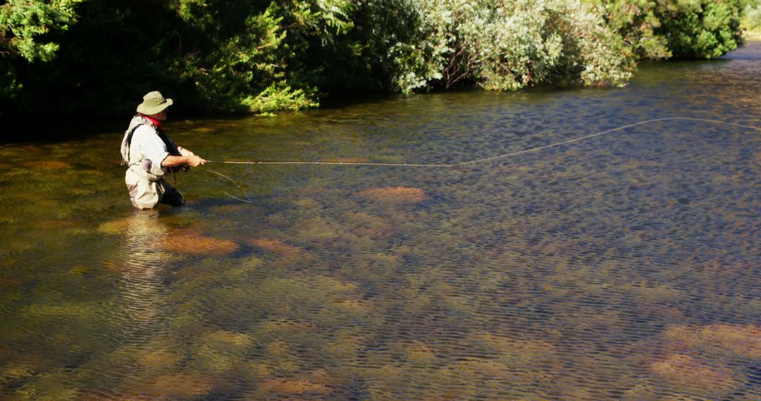 Man Fly Fishing in Tranquil River with Copy Space - Free Images, Stock Photos and Pictures on Pikwizard.com