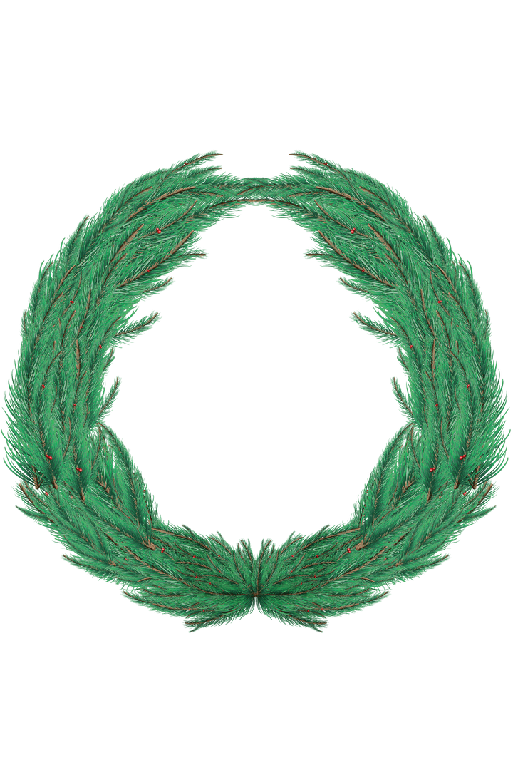 Realistic Green Fir Tree Wreath on Transparent Background