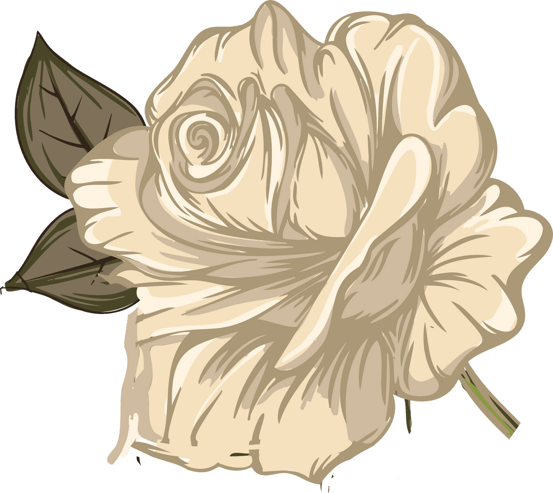 Ivory Rose with Green Leaves in Transparent Vector Art Design