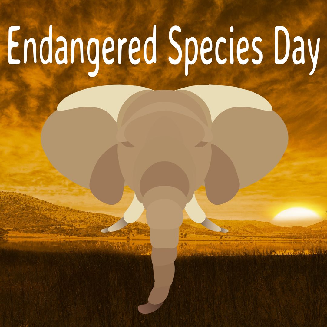 Elephant Silhouette Highlighting Endangered Species Day