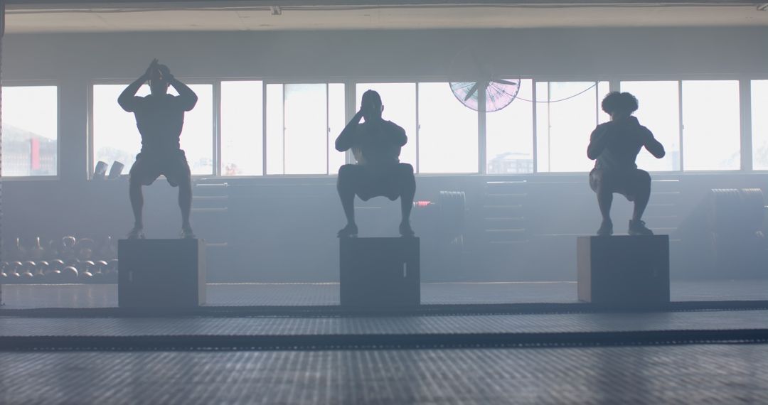 Focused Fitness Training with Box Jumps in Gym Setting