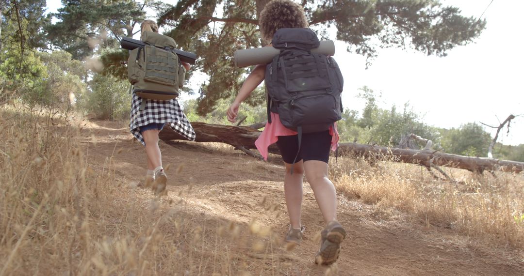 Adventure Hikers Trekking Through Forested Trail in Sunlight