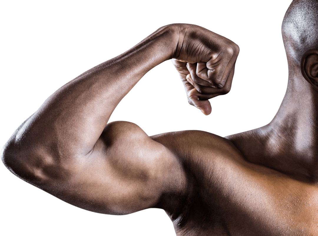 Transparent Cutout of Muscular Arm Flexing Biceps